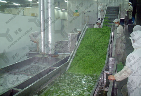 網帶式蔬菜清洗機操作步驟