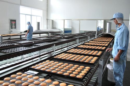 昱音機械：食品輸送機在實踐中謀發展